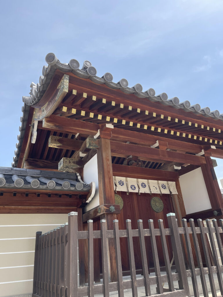Cat's Gate 1