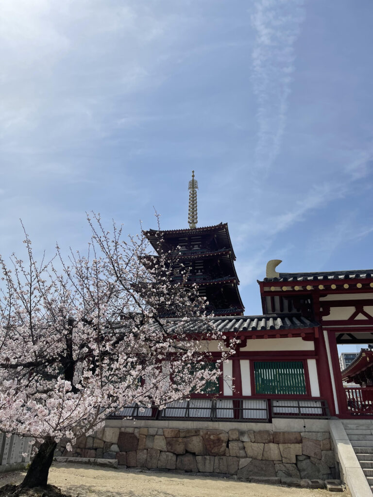 Cherry blossoms in front of the East Gate