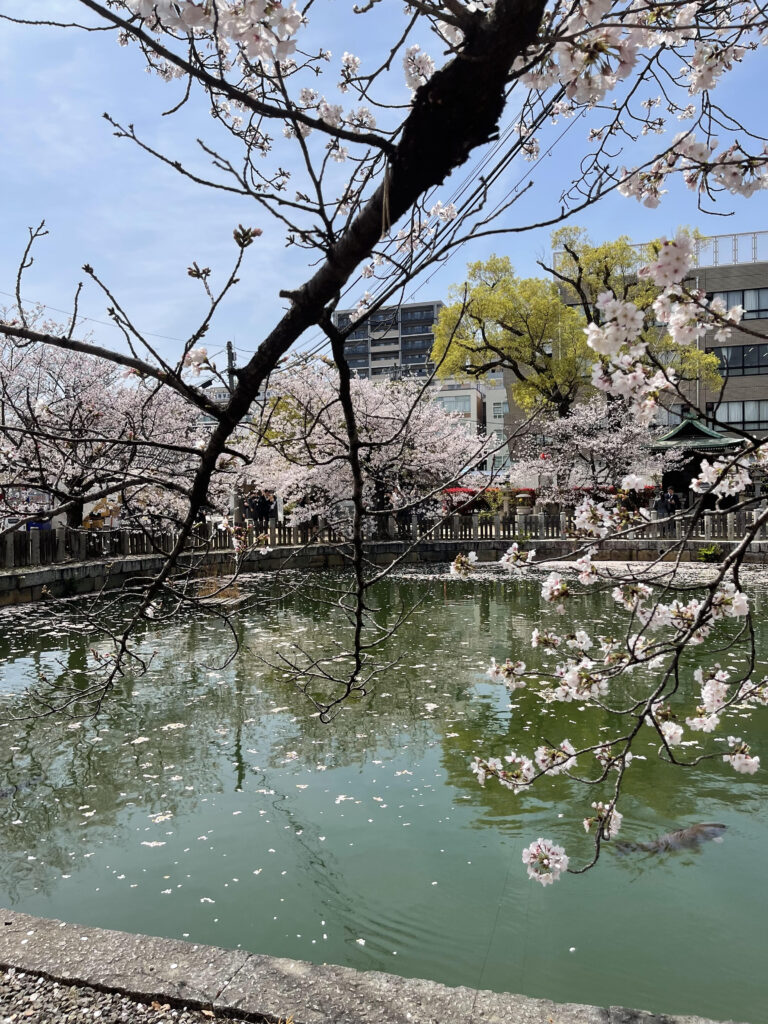 Maruike Pond