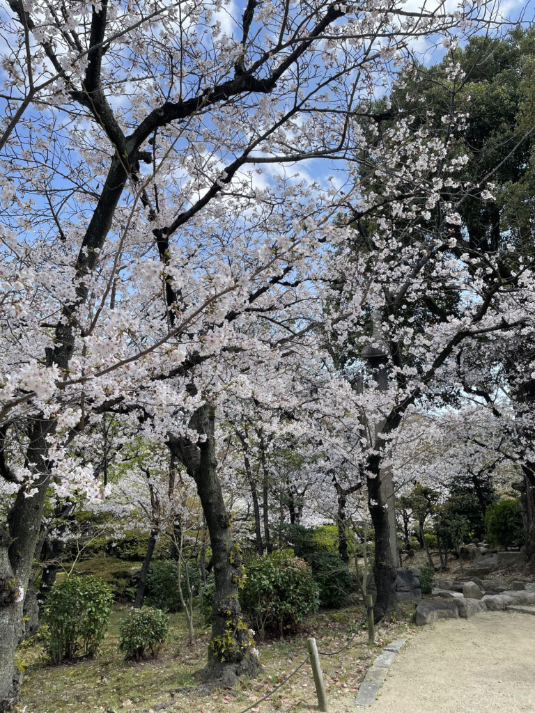 Gokurakujōdo no niwa 7